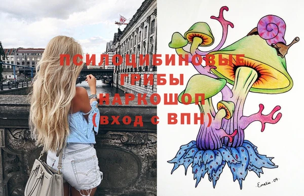 молекула духа Володарск