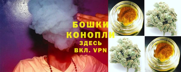 молекула духа Володарск
