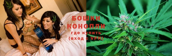 дживик Волоколамск