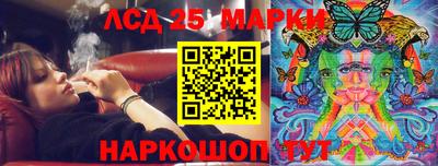 спиды Дубна