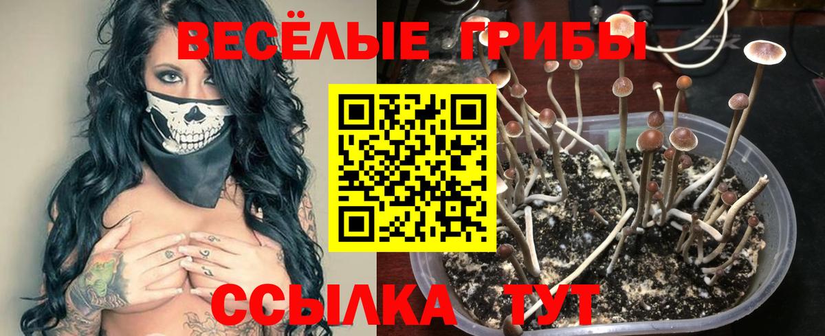 Галлюциногенные грибы прущие грибы Зерноград