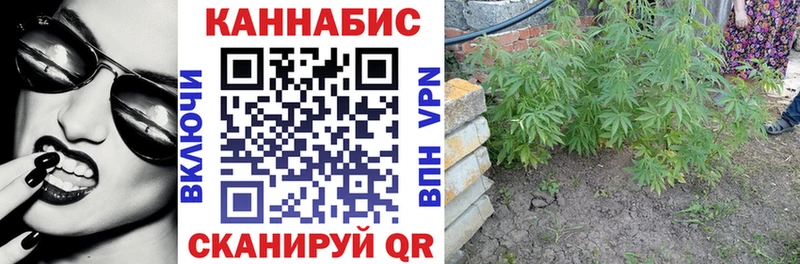маркетплейс наркотические препараты  купить   Зерноград  Бошки марихуана THC 21% 